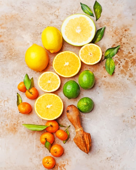 Orange Fruits New Paint By Numbers.png