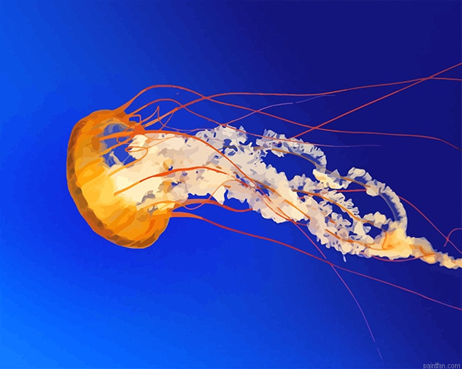Orange Jellyfish New Paint By Numbers.png