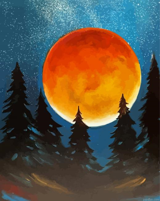 Orange Moon Paint By Numbers.png
