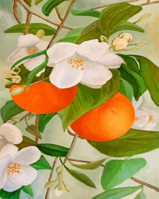 Orange Tree And Blossoms Paint By Numbers.png