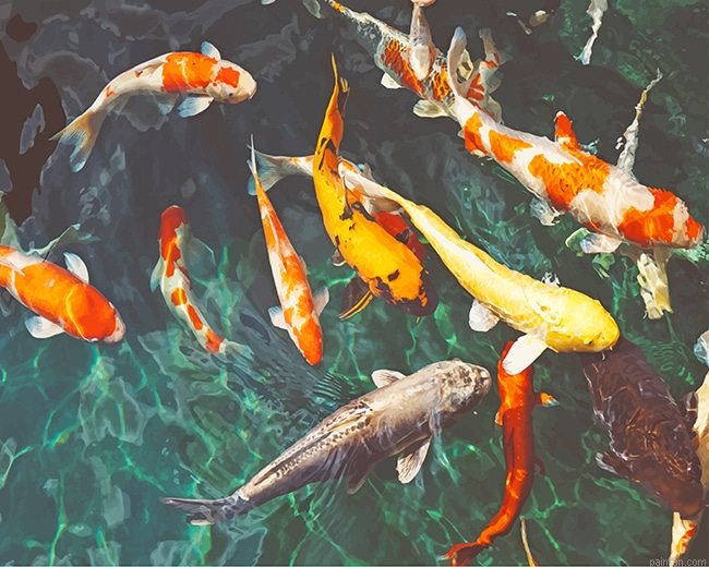 Orange And White Koi New Paint By Number.png
