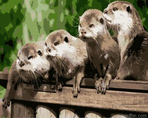 Otters Animals Paint By Numbers.png