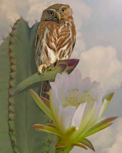 Owl And Cactus New Paint By Numbers.png