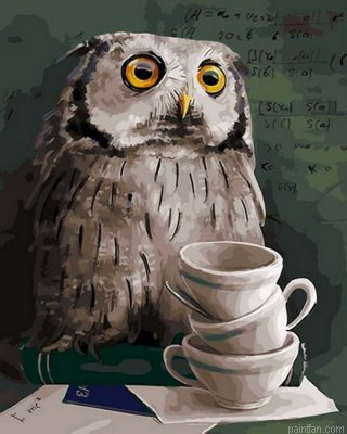Owl Art Paint By Numbers.png