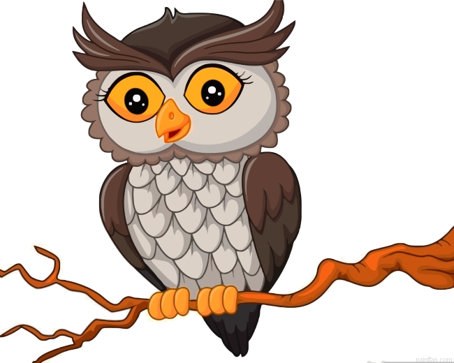 Owl Bird Paint By Number.png