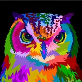 Owl Colored Paint By Numbers.png