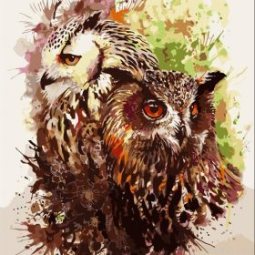 Owl Couple Paint By Numbers.png