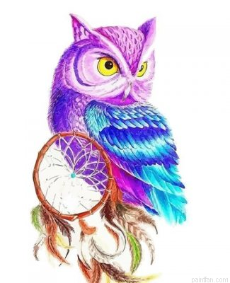 Owl Dreamcatcher Paint By Numbers.png