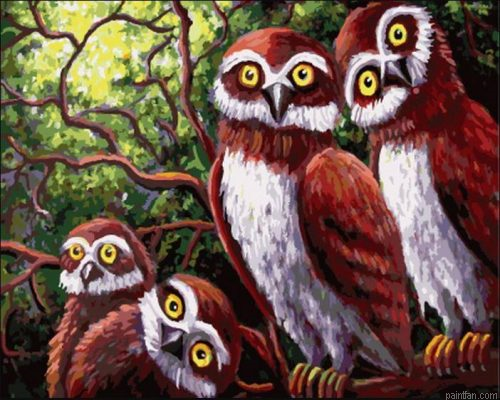 Owl Family Paint By Numbers.png