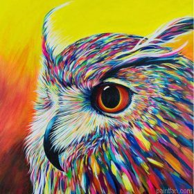 Owl Portrait Paint By Numbers.png