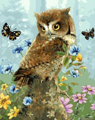 Owl And Butterfly Paint By Numbers.png