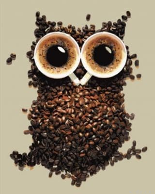 Owl Of Coffee Paint By Numbers.png