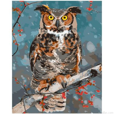 Owl On Branch Paint By Numbers.png