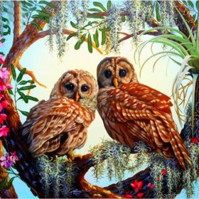Owls Birds Paint By Numbers.png