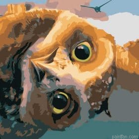 Owls Of Gahoole Paint By Numbers.png