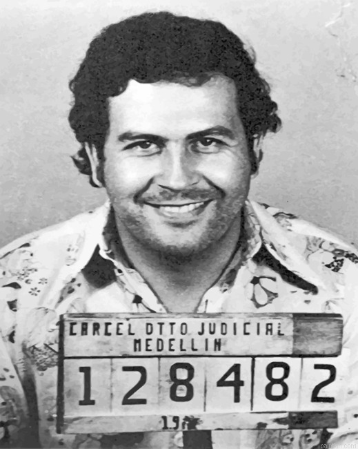 Pablo Escobar New Paint By Numbers.png