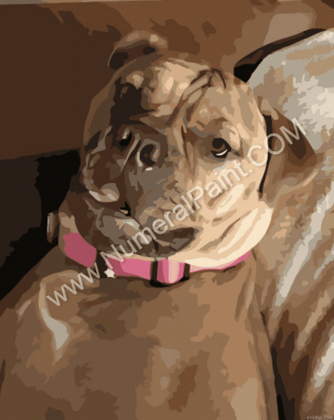 Paint Your Dog.png