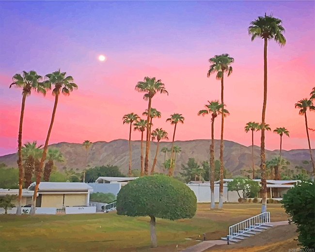 Palm Spring California New Paint By Numbers.png