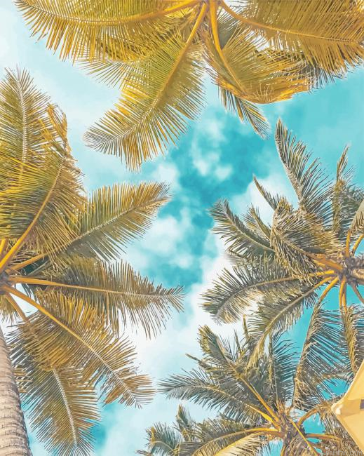 Palms Photography New Paint By Numbers.png