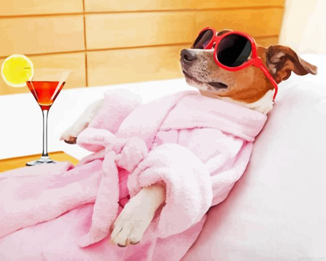 Pampered Dog Paint By Numbers.png