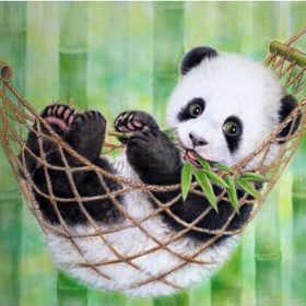 Panda Animals Paint By Numbers.png