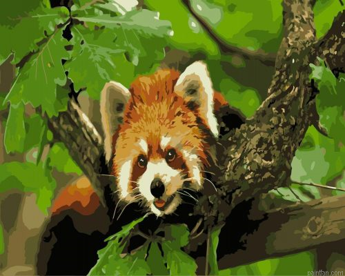 Panda On Branch Paint By Numbers.png
