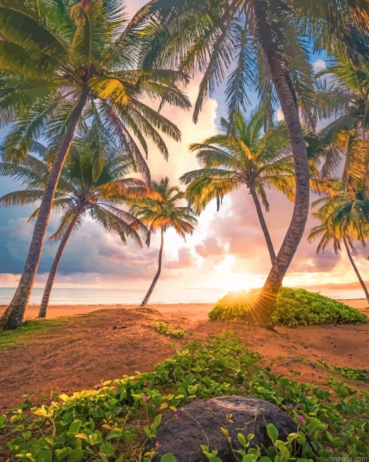 Paradise Nature Paint By Numbers.png