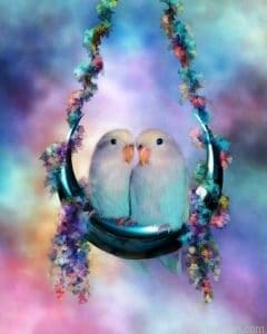 Parakeets Birds Paint By Numbers.png