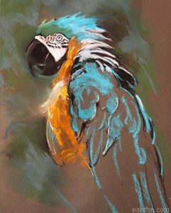 Parrot Art Paint By Numbers.png