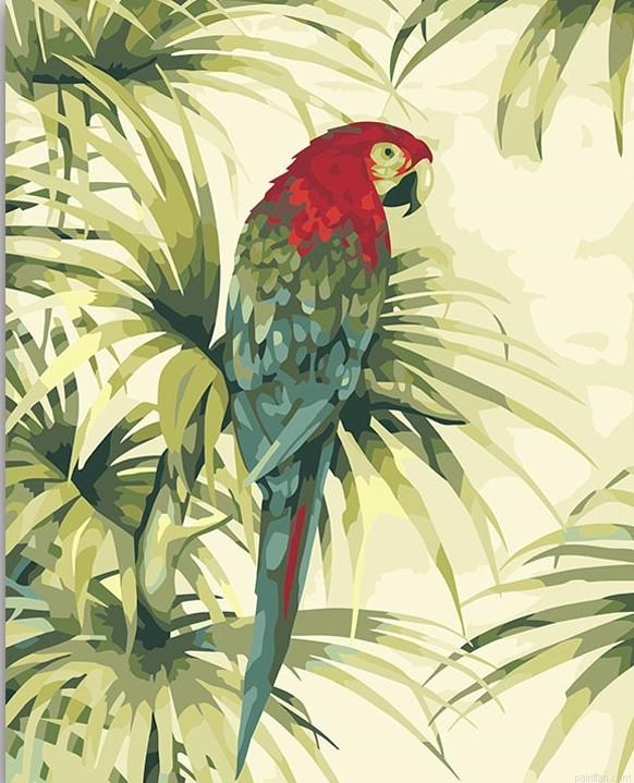 Parrot Head Paint By Numbers.png