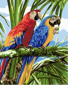 Parrots Birds Paint By Numbers.png