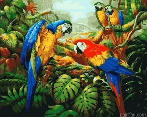 Parrots Paint By Numbers.png