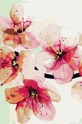Peach Blossom Paint By Numbers.png