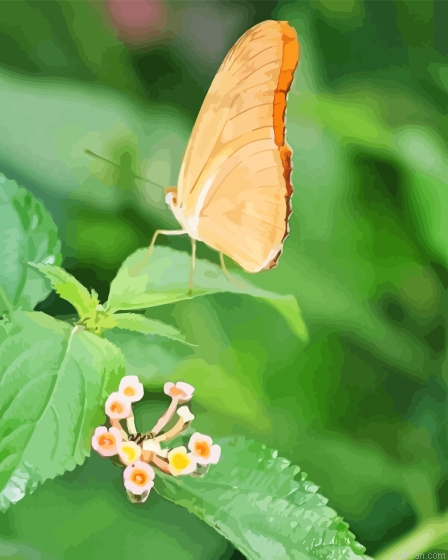 Peach Butterfly On Leaf Paint By Numbers.png