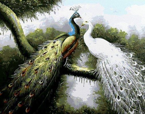 Peacock Couple Paint By Numbers.png