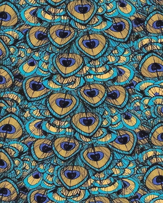 Peacock Feather Art New Paint By Numbers.png