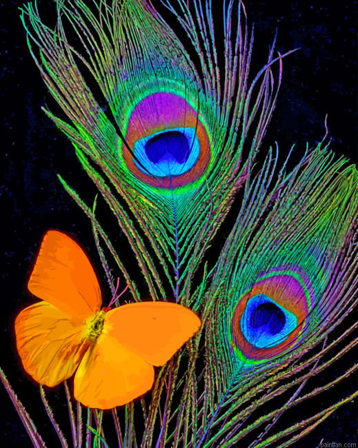 Peacock Feathers And Butterfly Paint By Numbers.png