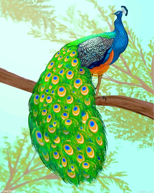 Peacock On A Branch Paint By Number.png
