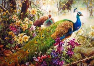 Peafowls Animals Paint By Numbers.png