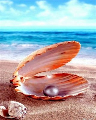 Pearls On Beach Paint By Numbers.png