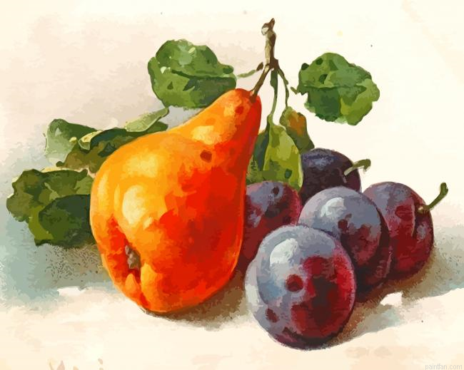 Pears Fruit Paint By Numbers.png