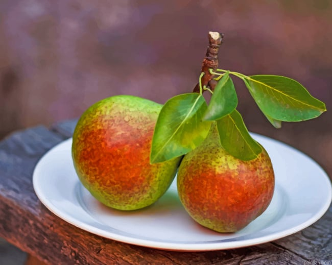 Pears Fruits With Leaves Paint By Number.png