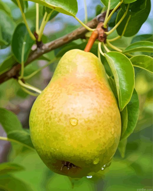 Pears On Tree Fruits Paint By Numbers.png