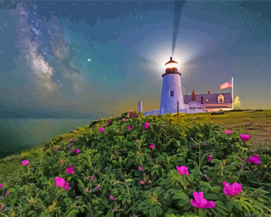 Pemaquid Point Paint By Numbers.png