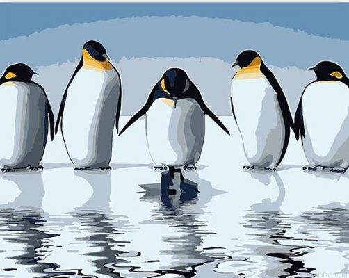 Penguins Birds Paint By Numbers.png