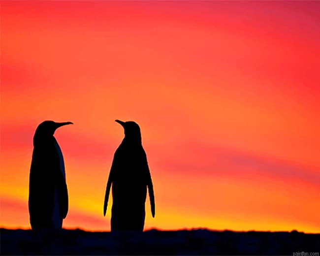 Penguins Silhouette New Paint By Numbers.png