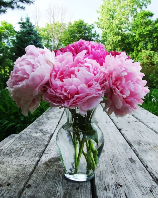 Peonies In Glass Paint By Numbers.png