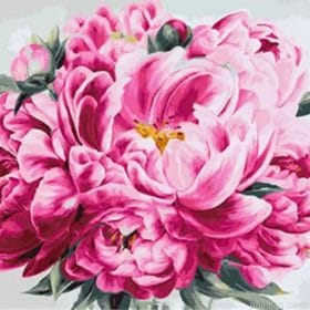 Peony Collection Flowers Paint By Numbers.png
