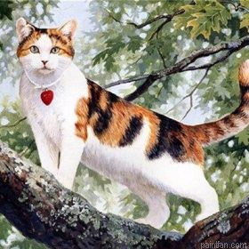 Pet Cat Paint By Numbers.png