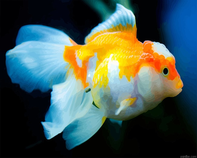 Pet Goldfish Paint By Number.png